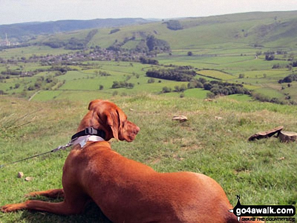 Walk c369 High Raise, Ullscarf and Grange Fell from Rosthwaite - Its a dogs-life in Langdale