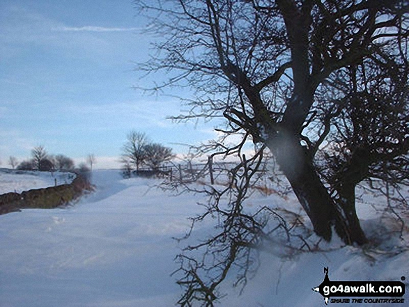 Apple Tree Road - Blocked!