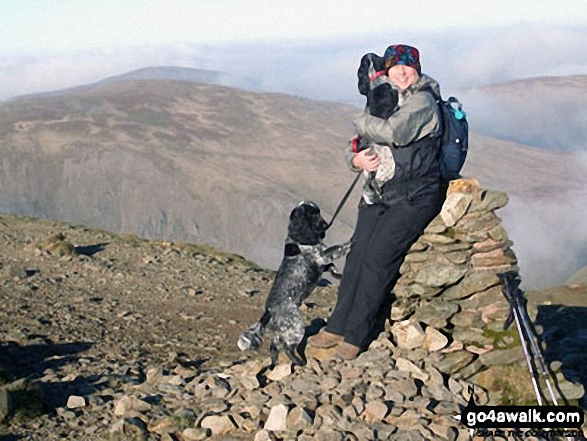 Walk c427 Helvellyn via Striding Edge from Patterdale - Lesley and the 2 Cocker Spaniels, Millie and Monty, on Helvellyn in November 2011