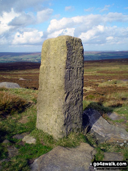 Boundary stone on Rombalds Moor (Ilkley Moor)