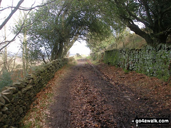 Walk l100 Pendle Hill from Barley - Bridleway near Barley