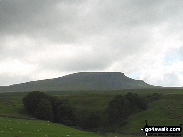 Walk ny158 Pen-y-ghent and Plover Hill from Horton in Ribblesdale - Pen-y-Ghent from Horton in Ribblesdale