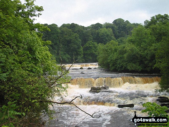 Walk ny186 Aysgarth Falls from Aysgarth - Aysgarth Lower Falls