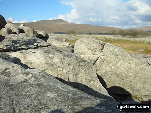 Walk ny101 The Yorkshire Three Peaks from Horton in Ribblesdale - Whernside from nr Broadrake Farm