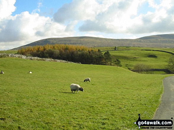 Walk Simon Fell walking UK Mountains in The Southern Dales Area The Yorkshire Dales National Park North Yorkshire, England