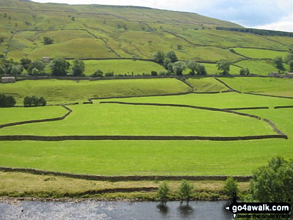 Gill Head and Swaledale from Gunnerside