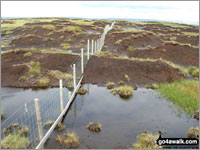 Peat bogs - so much more than just a trap for unwary walkers