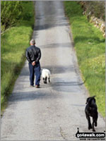 A local man taking his dog and lamb for a walk