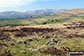 The tiny cairn on the summit of Brunt Knott (South Top)