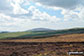 Binsey from Faulds Brow