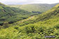 Looking down to Glen Fyne from the lower slopes of Beinn Bhuidhe (Glen Fyne)