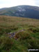 Tarrenhendre from Mynydd Rhyd-galed summit