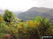 Carling Knott, Holme Wood and Loweswater from the track to Low Fell