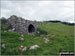 Old Lime Kiln on Knipescar Common