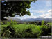 View from the approach to Ponsonby Fell through Blengdale Forest