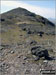 Finally approaching the Arenig Fawr (Moel Yr Eglwys) summit