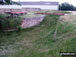 What is left of The (former) Portsmouth and Arundel Navigation Canal near Barnham Court, Barnham