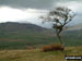 Great Mell Fell Summit cairn with Sharp Edge , Blencathra or Saddleback (Hallsfell Top) beyond