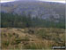 Pantmaenog Forest Slate Mine from Rosebush