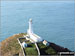 South Stack Lighthouse