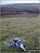 Bullman Hills summit cairn with Cross Fell forming the horizon