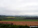 The Cheviots from Thrunton Wood