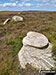 Featherbed Moss (Howden Edge) summit stones