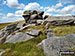 Wind sculptured rocks on Featherbed Moss (Howden Edge)