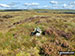 The small cairn on the summit of Blaydike Moss