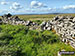 The actual summit of High Green Field Knott (Cosh Knott)