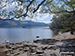 Derwent Water at Copperheap Bay