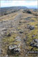 South from Lord's Seat (Whitbarrow Scar)