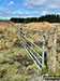 The gate/fence by the corner of the forest, looking back towards Post Gwyn