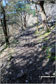 Path up through Black Yews Scar from Witherslack Hall School to Lord's Seat (Whitbarrow Scar)