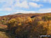 Ben Chonzie from Glen Lednock in all its autumn glory