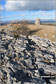 Lord's Seat (Whitbarrow Scar) summit