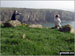 My son and Daughter on a hill overlooking the Pembrokeshire Coastline near Solva Harbour