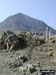 Crib Goch from Bwlch y Moch