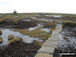 Approaching the summit of The Cheviot